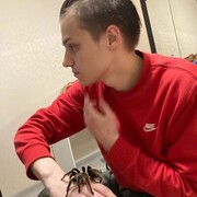 ���������� ������, ���� ����� ������, 22 ����, ������������ ��� ������, ����� � ���������, ���������