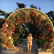 ���������� ������, ���� ������� ����, 91 ���, ������������ ��� ������, ����� � ���������, c�������� ���������