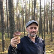  ,   , 54 ,   ,   