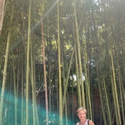 ���������� �����, ���� ������� �������, 60 ���, ������������ ��� ������, ����� � ���������, c�������� ���������