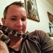 ���������� ���������, ���� ������� �����, 48 ���, ������������ ��� ������, ����� � ���������, c�������� ���������