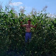  ,   , 50 ,   ,   