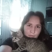 ,  , 28