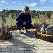  ,   , 44 ,   ,   