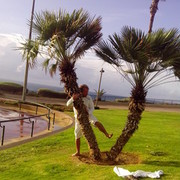  ,   , 55 ,   ,   , c , 