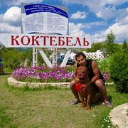  ,   Soheil, 43 ,   ,   , c , 