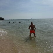 ���������� ��������, ���� ������� �����, 34 ����, ������������ ��� ������, ����� � ���������