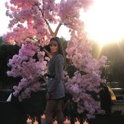 ���������� �����-���������, ���� ������� ����, 28 ���, ������������ ��� ������, ����� � ���������