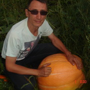 ,   , 59 ,   