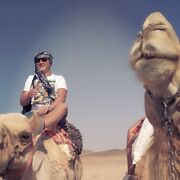 ���������� ������, ���� ������� ����, 44 ����, ������������ ��� ������, ����� � ���������