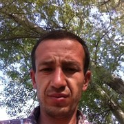 ���������� ���������, ���� ������� 998939955853, 37 ���, ������������ ��� ������, ����� � ���������, c�������� ���������