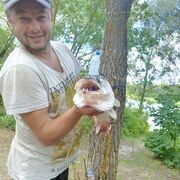 ���������� �������, ���� ������� ������, 41 ���, ������������ ��� ������, ����� � ���������