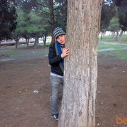  ,   Rawid, 33 ,   ,   , c 