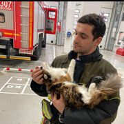 ���������� ������, ���� ������� �����, 29 ���, ������������ ��� ������, ����� � ���������