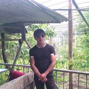  ,   MXO, 37 ,   