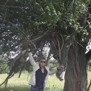  ,   , 33 ,   ,   , c 