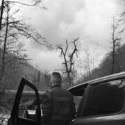 ���������� ������, ���� ������� �������, 36 ���, ������������ ��� ������, ����� � ���������, c�������� ���������