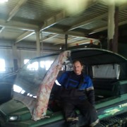 ���������� ������, ���� ������� �������, 51 ���, ������������ ��� ����� � ���������, c�������� ���������