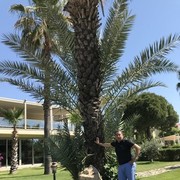 ���������� ����, ���� ������� ����, 44 ����, ������������ ��� ������, ����� � ���������, c�������� ���������