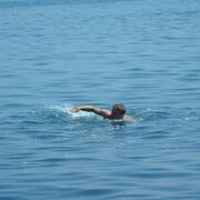 ���������� �����������, ���� ������� �������, 42 ����, ������������ ��� ������, ����� � ���������, c�������� ���������, ���������