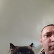  -,   , 43 ,   , 
