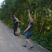 ���������� �����-���������, ���� ������� ����, 31 ���, ������������ ��� ������, ����� � ���������