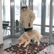 ���������� ��������, ���� ������� ������, 57 ���, ������������ ��� ������, ����� � ���������, c�������� ���������