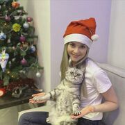 ���������� ������, ������