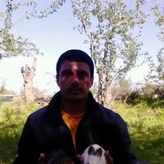  Grojec,  HASAH, 37
