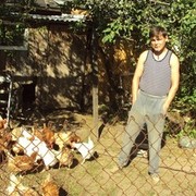   ,   , 39 ,  