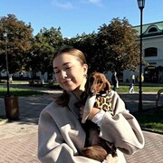 ���������� �������, ������