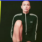 ���������� ����, ����