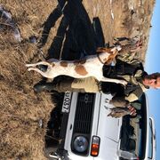 ���������� ������, ���� ������� �����, 56 ���, ������������ ��� ������, ����� � ���������, c�������� ���������