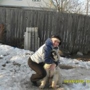 ���������� ������, ���� ������� ����, 61 ���, ������������ ��� ������, ����� � ���������, c�������� ���������