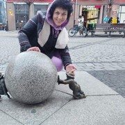  ,   , 53 ,   ,   