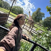 ���������� ������, ���� ������� ��������, 33 ����, ������������ ��� ������, ����� � ���������, c�������� ���������, ���������