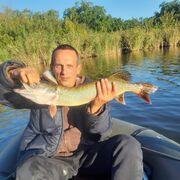 ���������� ��������������, ���� ������� �����, 41 ���, ������������ ��� ������, ����� � ���������