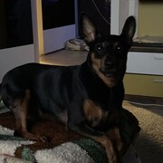 ���������� �����-���������, ���� ����� ������, 23 ����, ������������ ��� ������, ����� � ���������, c�������� ���������, ���������