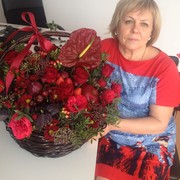  ,   , 61 ,  