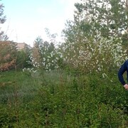 ���������� ��������, ���� ������� ��������, 33 ����, ������������ ��� ������, ����� � ���������