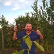 ���������� ������, ���� ������� ����, 47 ���, ������������ ��� ������, ����� � ���������