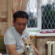 ���������� �������, ���� ������� �����, 41 ���, ������������ ��� ����� � ���������