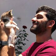 ���������� ��������, ���� ������� ������, 38 ���, ������������ ��� ������, ����� � ���������