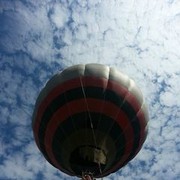 ���������� ����-�����������, ���� ������� ��������, 31 ���, ������������ ��� ������, ����� � ���������, c�������� ���������