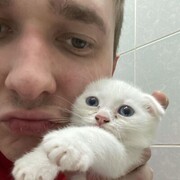  ,   , 32 ,  