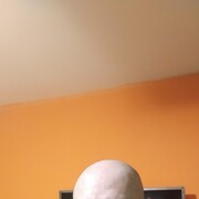 ���������� �����, ���� ������� ���������, 43 ����, ������������ ��� ������, ����� � ���������