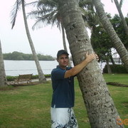 ���������� �����������, ���� ������� ������, 38 ���, ������������ ��� ������, ����� � ���������, c�������� ���������