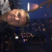 ���������� ������, ���� ������� ��������, 55 ���, ������������ ��� ����� � ���������, c�������� ���������