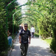  -,   rman, 50 ,   ,   , c , 