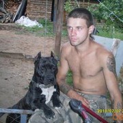 ,    , 38 ,  